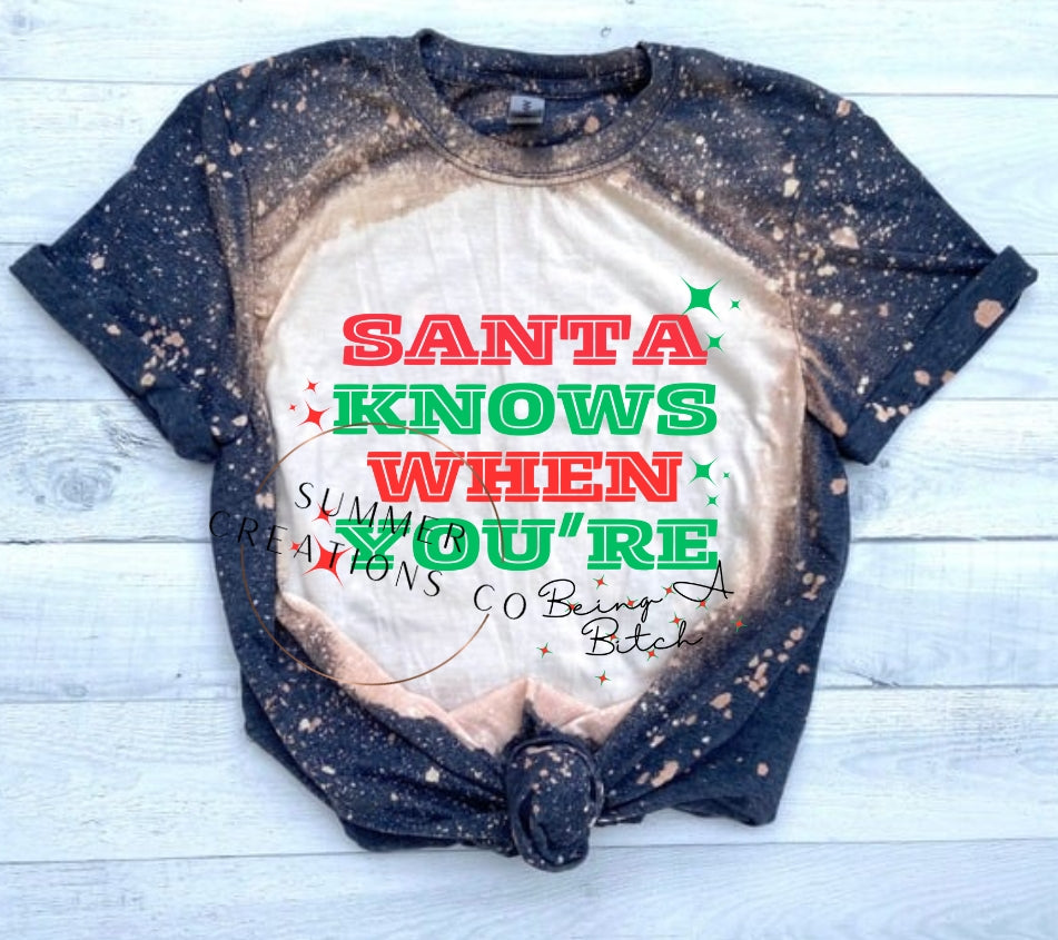 Christmas T-shirt or Sweatshirt